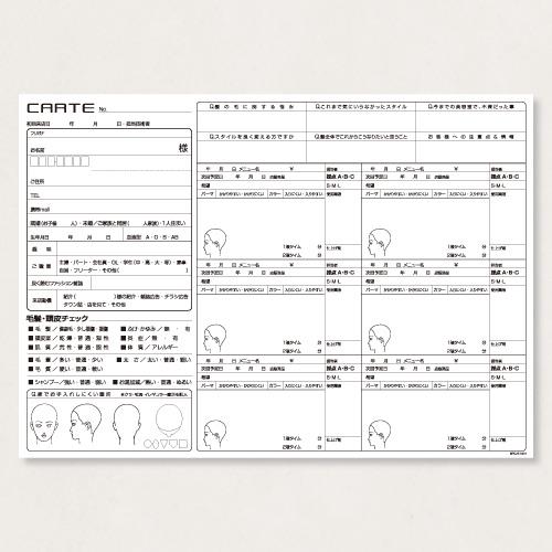 カルテ500 SPC/513N 500枚