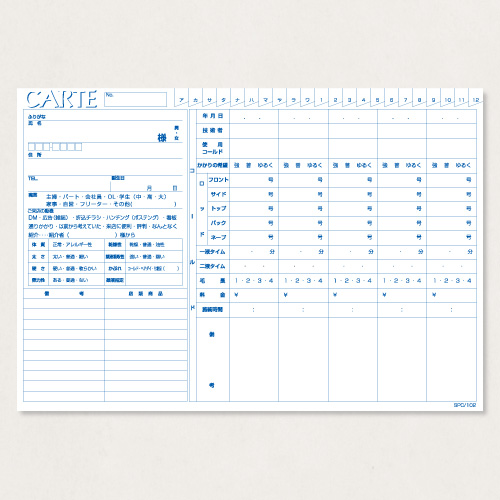 カルテ500 SPC/102　　　500枚