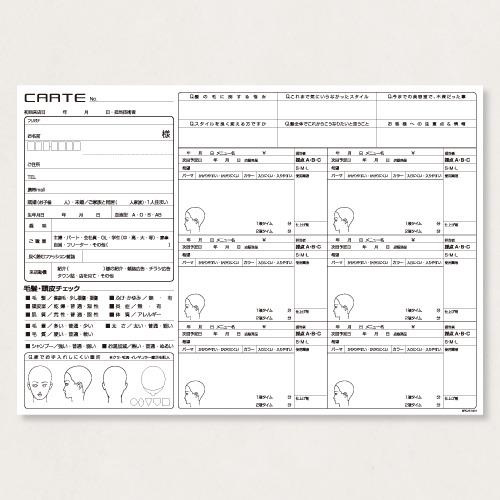 カルテ500 SPC/513-N 500枚